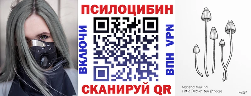 Псилоцибиновые грибы мицелий  Кубинка 