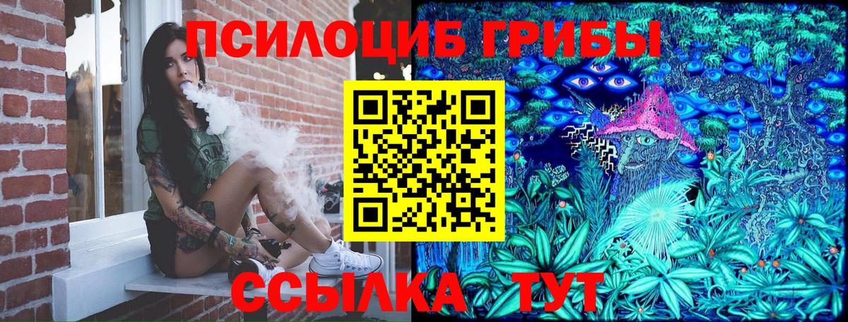 Кубинка  Псилоцибиновые грибы мухоморы  Вход с VPN 